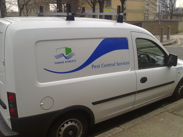 Dubai Pest Control Services