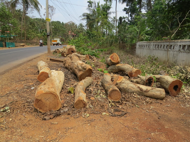 Use The Space For Some Purpose