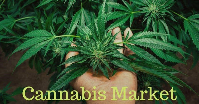 Cannabis Industry Trends And Business Plans