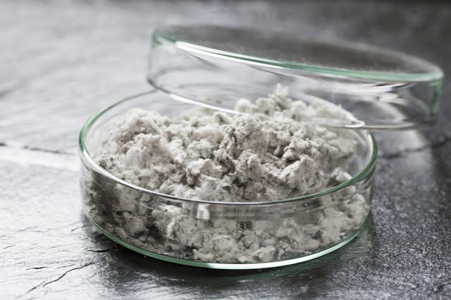 A Complete Guide On Asbestos Testing