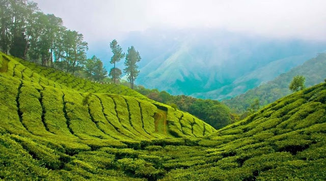 South India Hill Stations South India Hill Stations