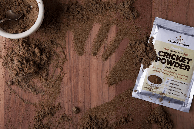 How to Digest Protein Supplements Easily?