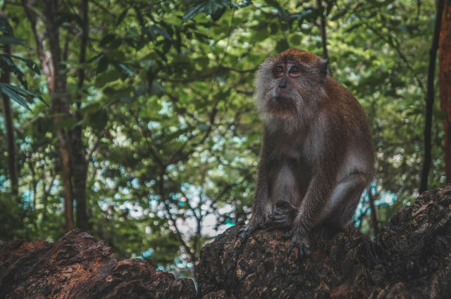 Top Ten Places To Visit In Malaysia