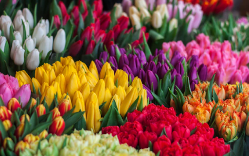 HOW FLOWERS ARE THE EXPERTS IN EXPRESSING YOUR EMOTIONS?