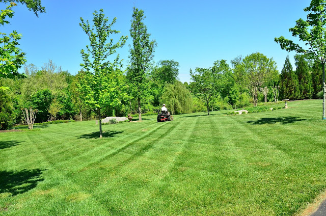 A Step By Step Guide To Proper Lawn Care A Step By Step Guide To Proper Lawn Care