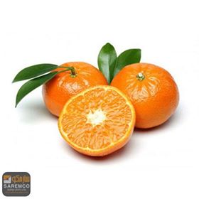 Pakistan Has A Target To Earn The Maximum Amount By Exporting Citrus- Fresh Pakistani Orange Pakistan Has A Target To Earn The Maximum Amount By Exporting Citrus- Fresh Pakistani Orange