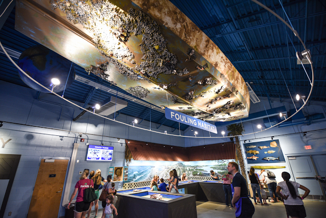 Places To Explore In Greenville, South Carolina Places To Explore In Greenville, South Carolina