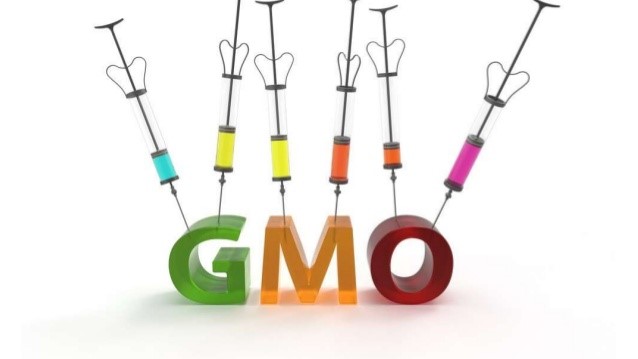 Top 5 Genetically Modified Organisms (GMOs)