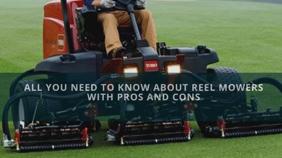 All You Need To Know About Reel Mowers With Pros And Cons All You Need To Know About Reel Mowers With Pros And Cons